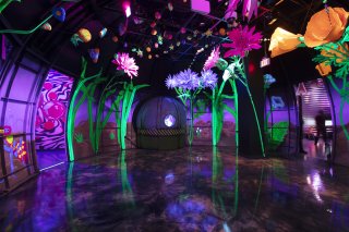 Meow Wolf Las Vegas' Omega Mart