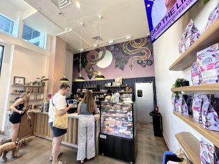 Mothership Coffee Roasters