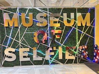 Museum of Selfies