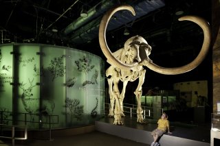 Nevada State Museum, Las Vegas