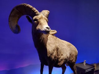 Nevada State Museum, Las Vegas