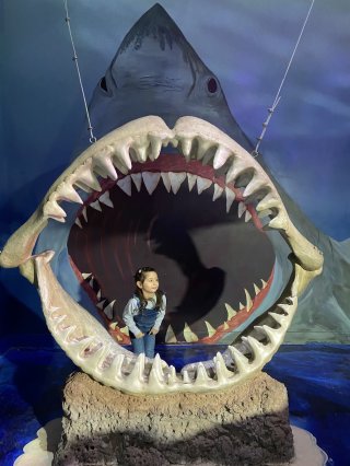 One World Interactive Aquarium