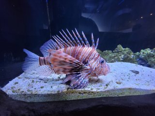 One World Interactive Aquarium