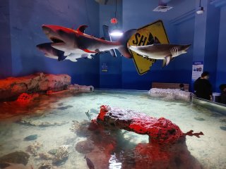 One World Interactive Aquarium