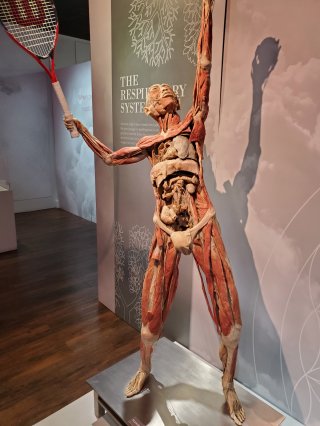 Real Bodies Las Vegas