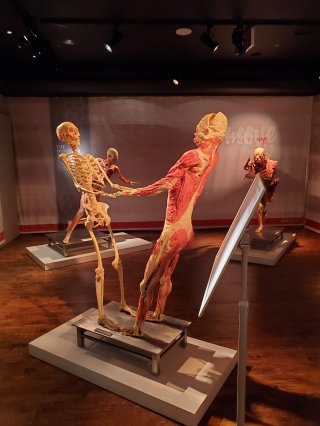 Real Bodies Las Vegas