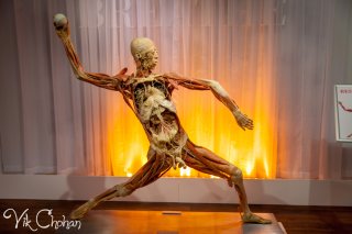 Real Bodies Las Vegas