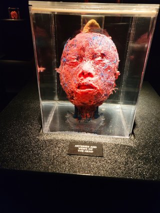 Real Bodies Las Vegas