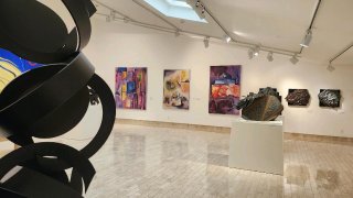 Rita Deanin Abbey Art Museum