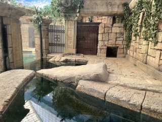 Shark Reef Aquarium at Mandalay Bay