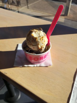 Sorry Not Sorry Creamery - Flamingo