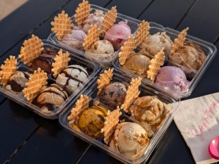 Sorry Not Sorry Creamery - Flamingo