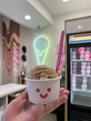 Sorry Not Sorry Creamery - Flamingo