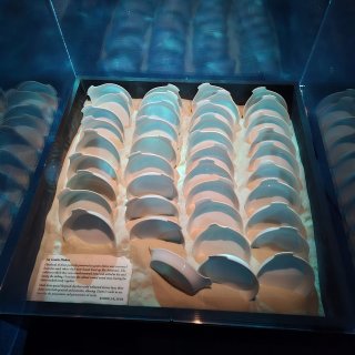 Titanic: The Artifact Exhibition