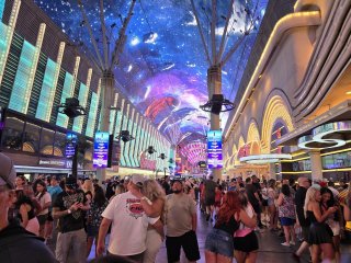 Whiskey Licker Up at Binion's