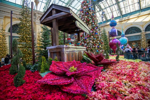 Bellagio Conservatory & Botanical Gardens