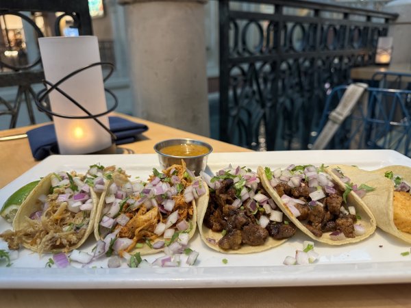 Canonita