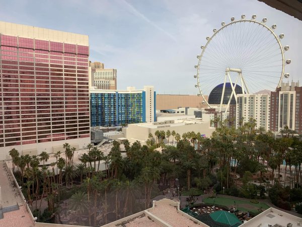 Flamingo Las Vegas