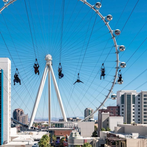 Fly LINQ Zipline