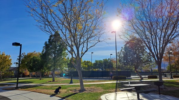 Gardens Park