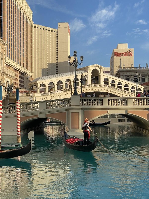 Gondola Rides