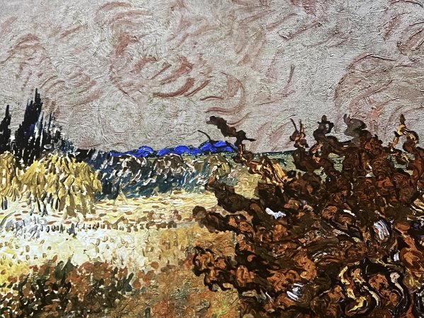 Immersive Van Gogh
