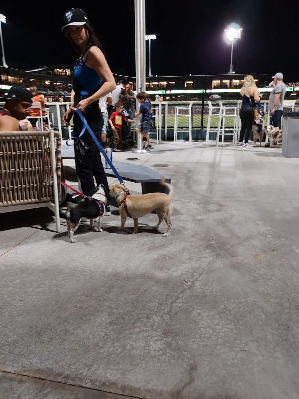 Las Vegas Aviators