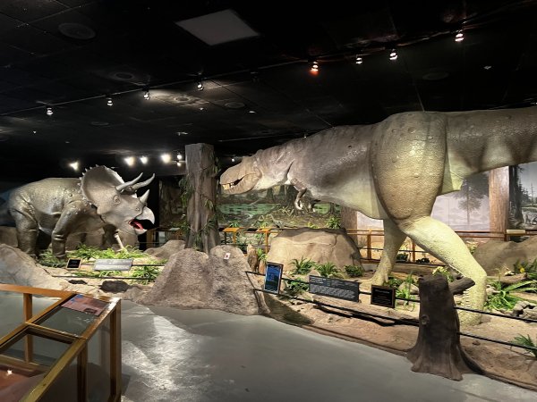 Las Vegas Natural History Museum