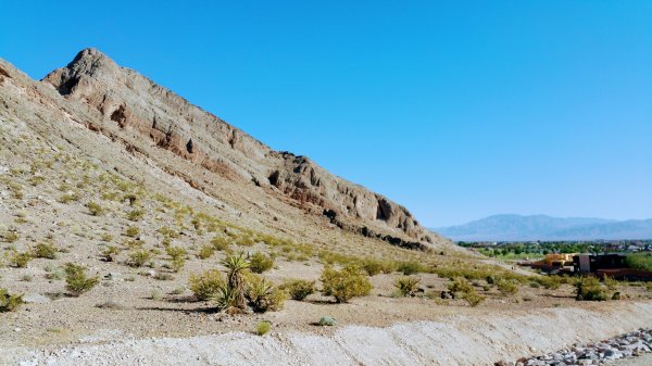 Majestic Park