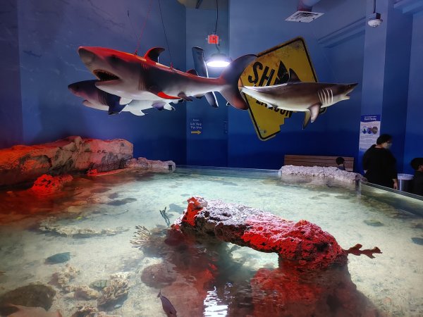 One World Interactive Aquarium