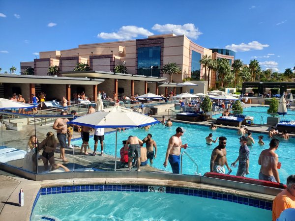 Palm Tree Beach Club