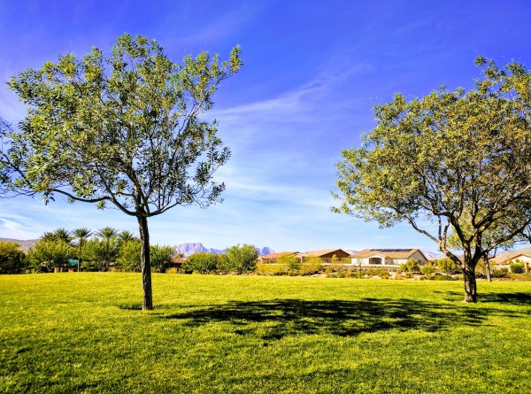 Paseos Park