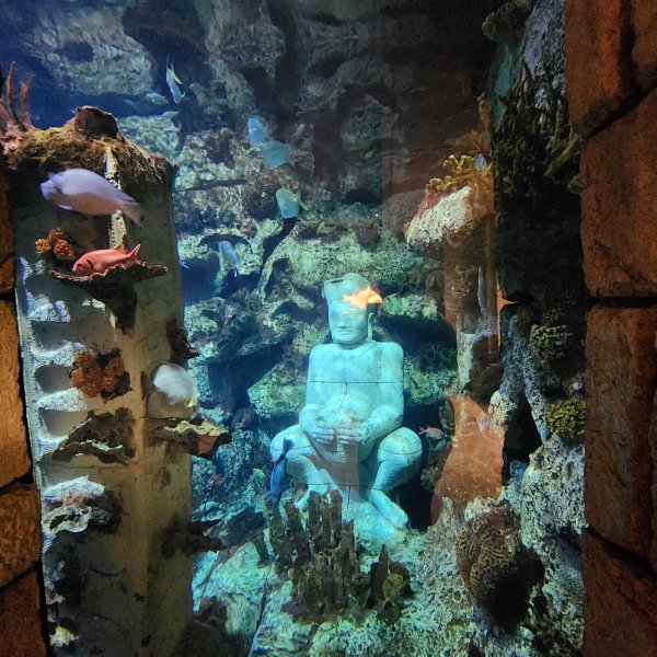 Shark Reef Aquarium at Mandalay Bay