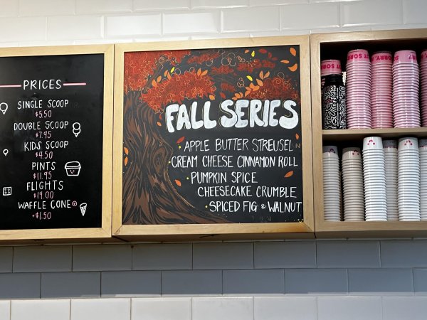 Sorry Not Sorry Creamery - Flamingo