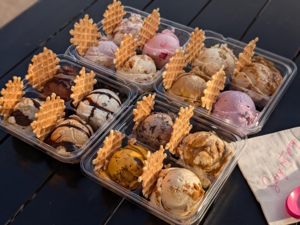 Sorry Not Sorry Creamery - Flamingo