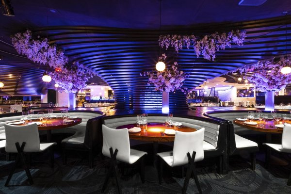 STK Steakhouse