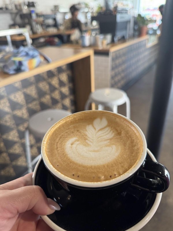 Vesta Coffee Roasters