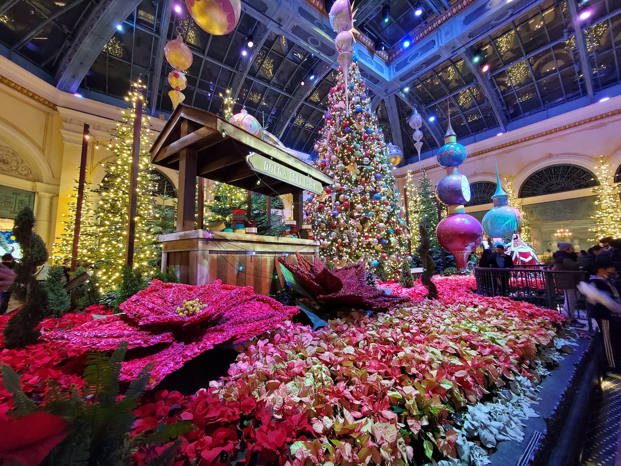 Bellagio Conservatory & Botanical Gardens