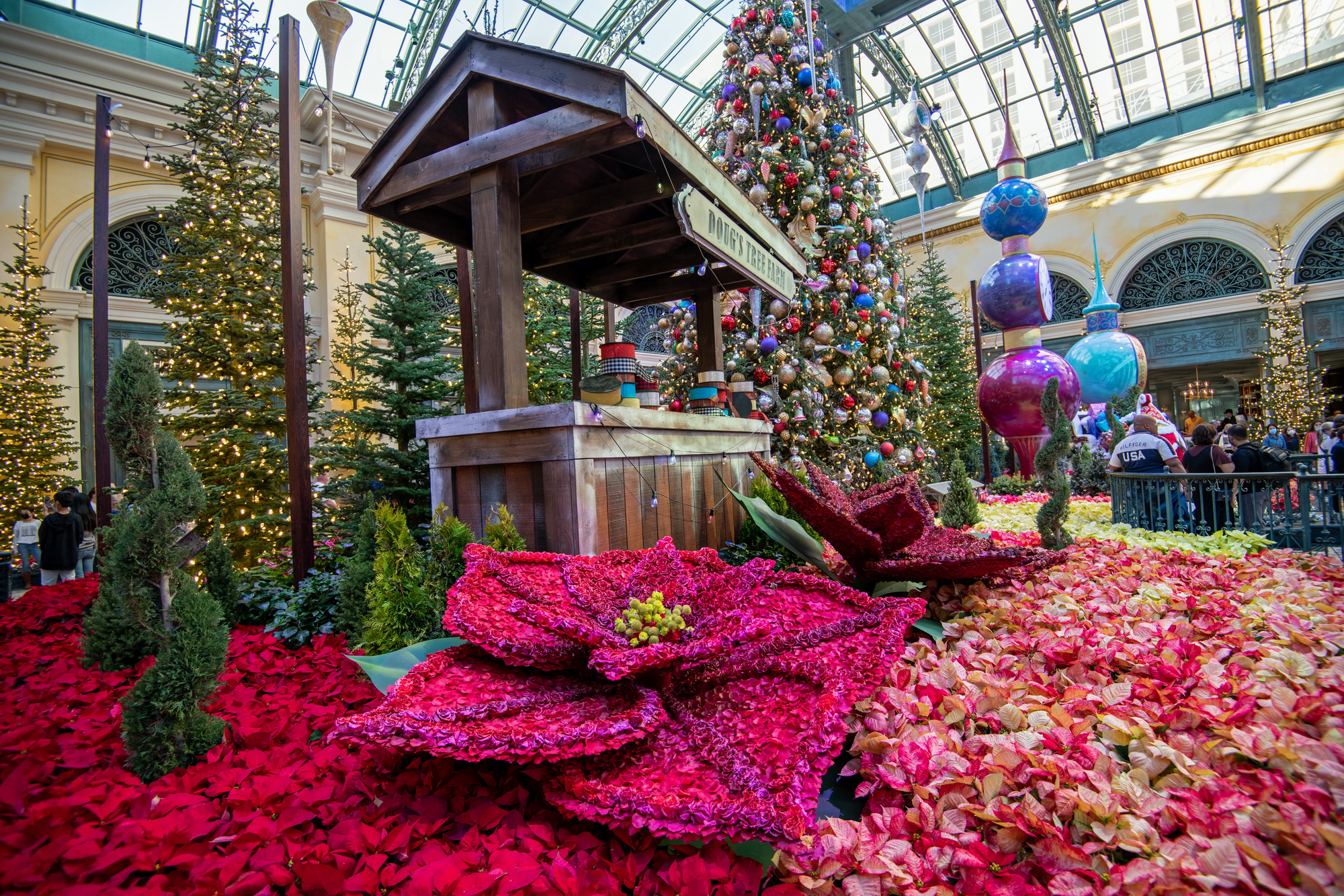 Bellagio Conservatory & Botanical Gardens