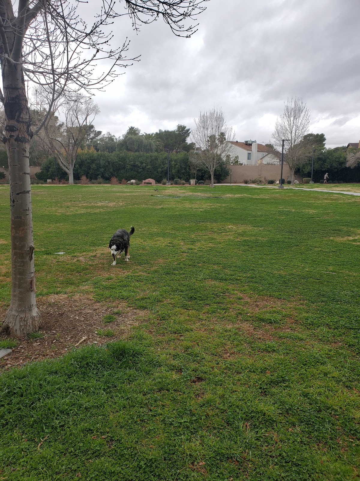 Bob Baskin Park