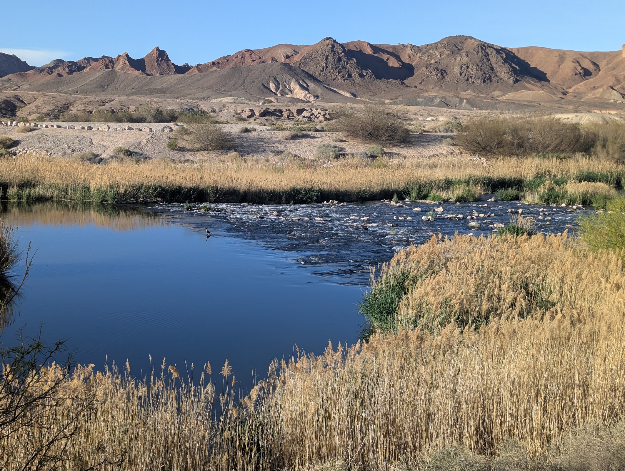 Clark County Wetlands Park