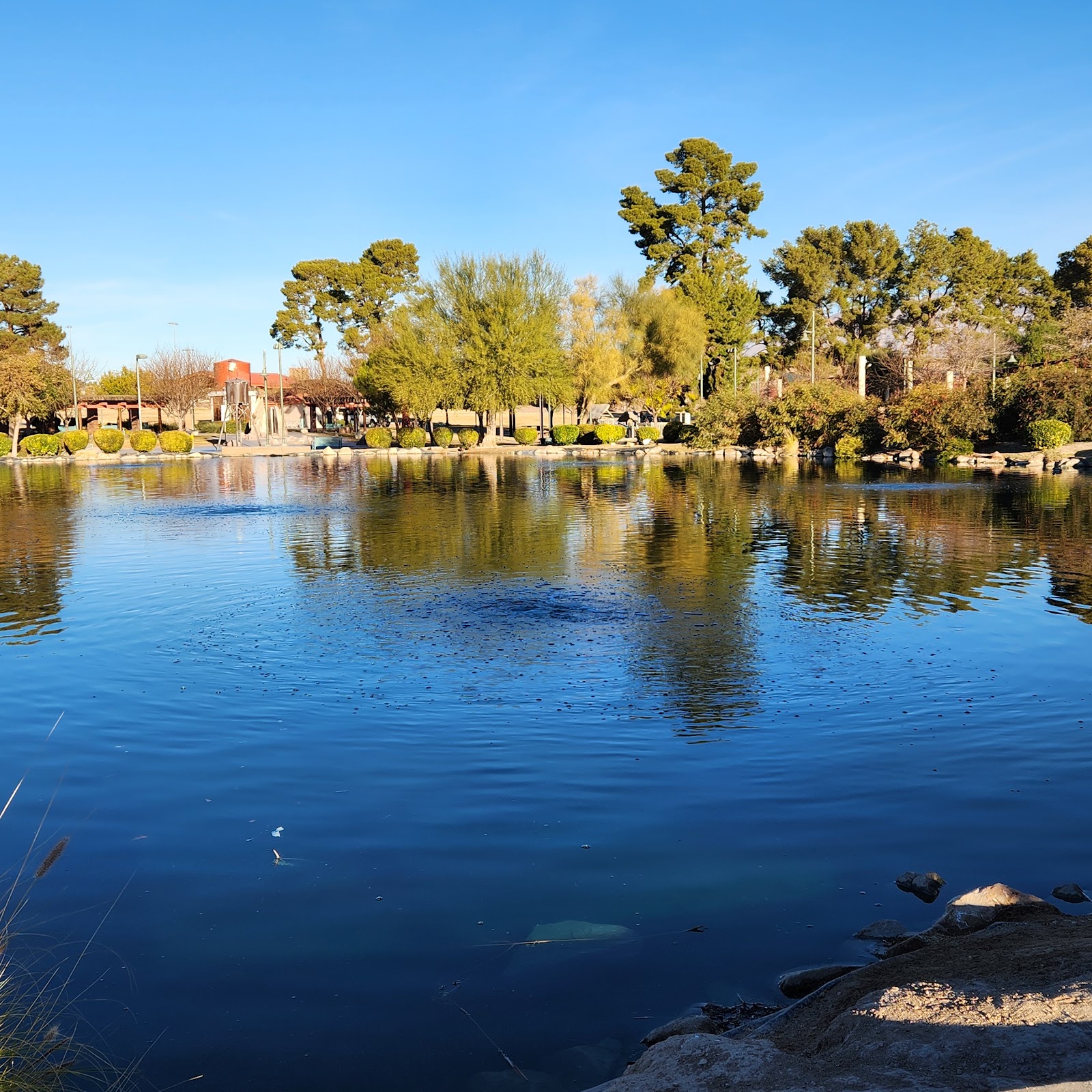 Craig Ranch Regional Park