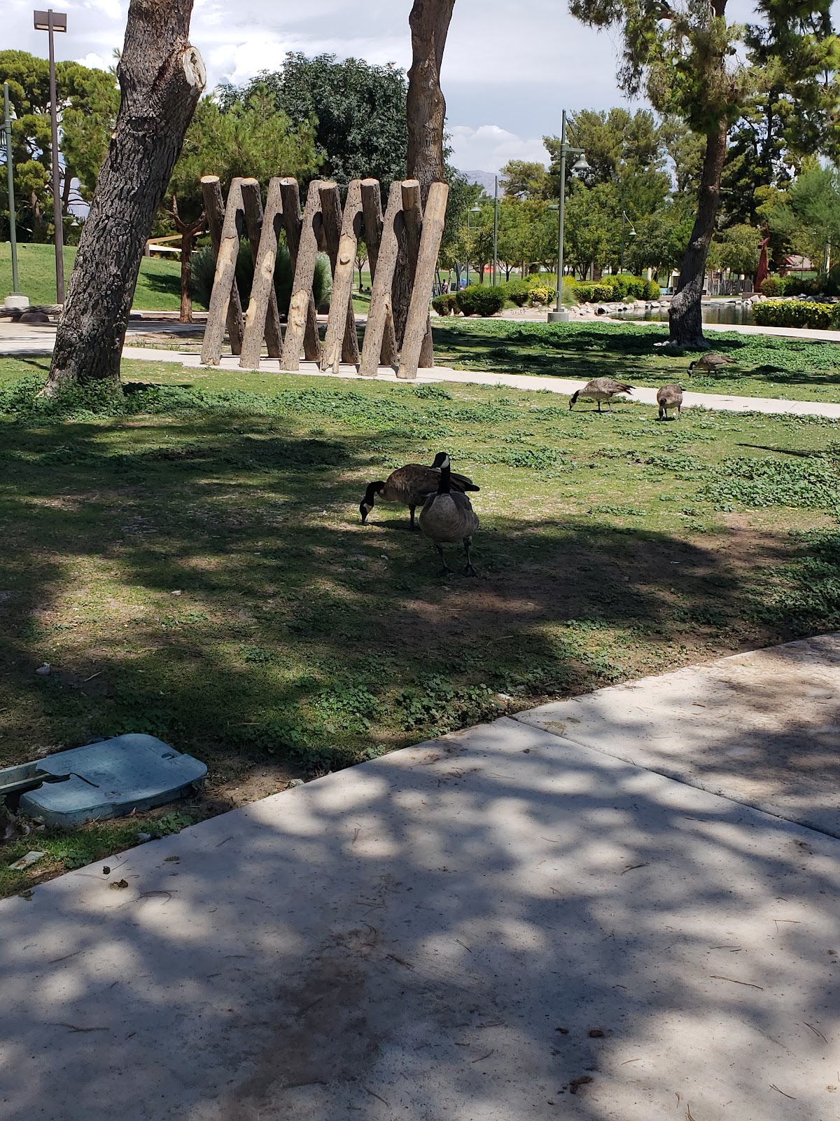 Craig Ranch Regional Park
