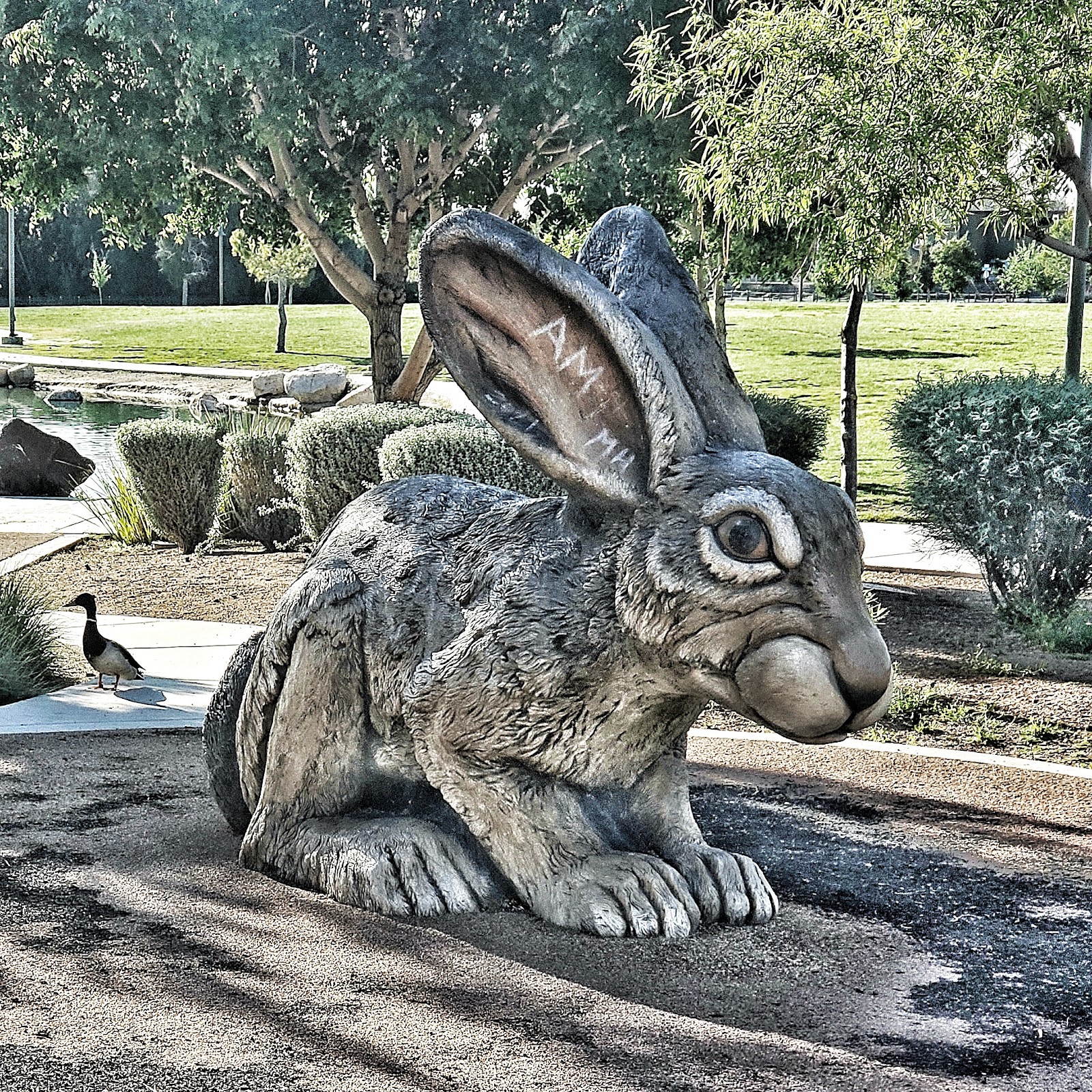 Craig Ranch Regional Park