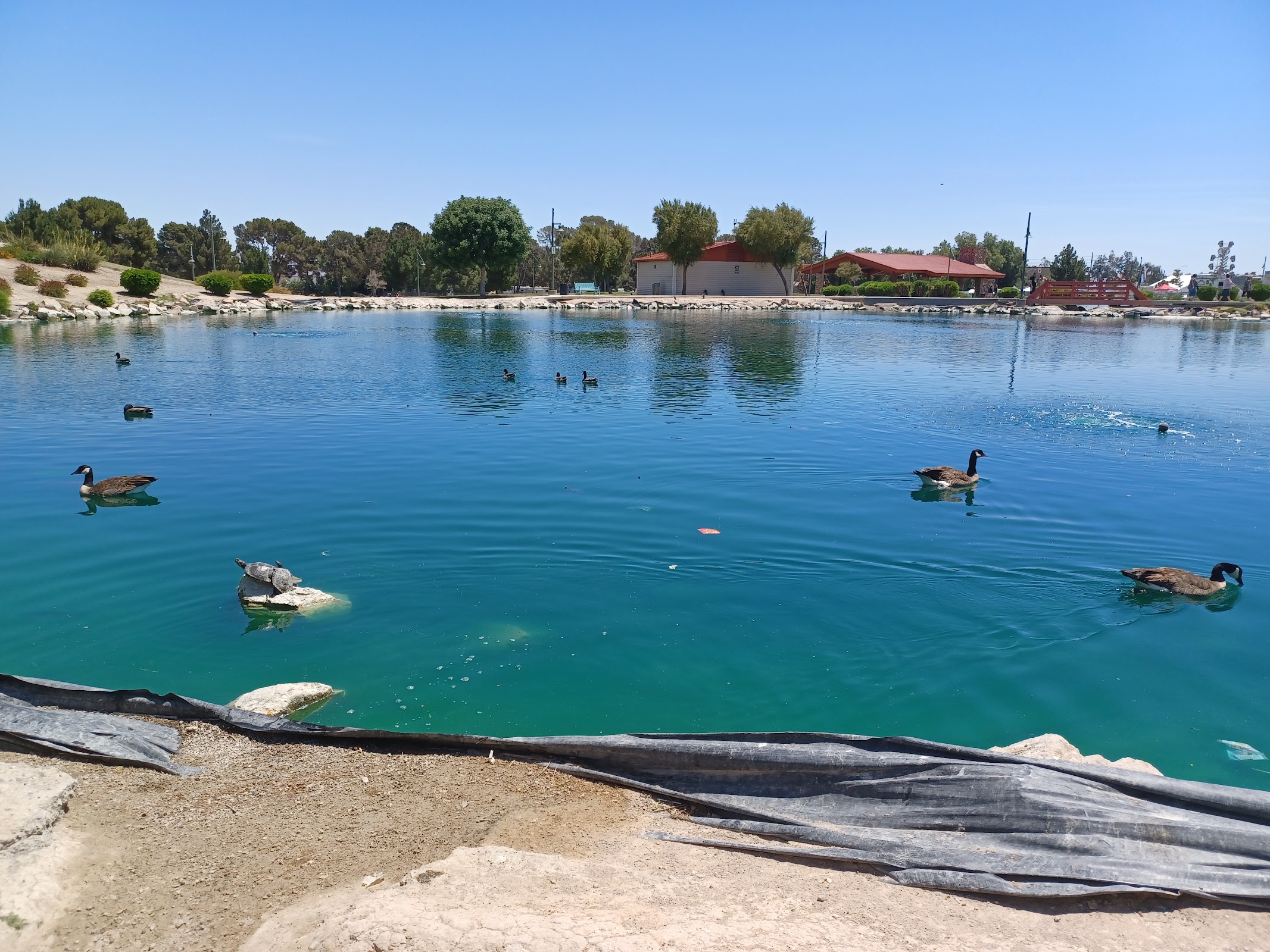 Craig Ranch Regional Park