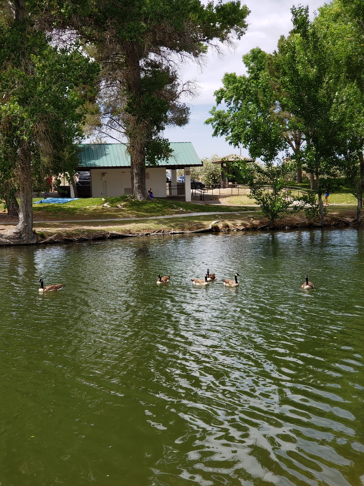 Floyd Lamb Park