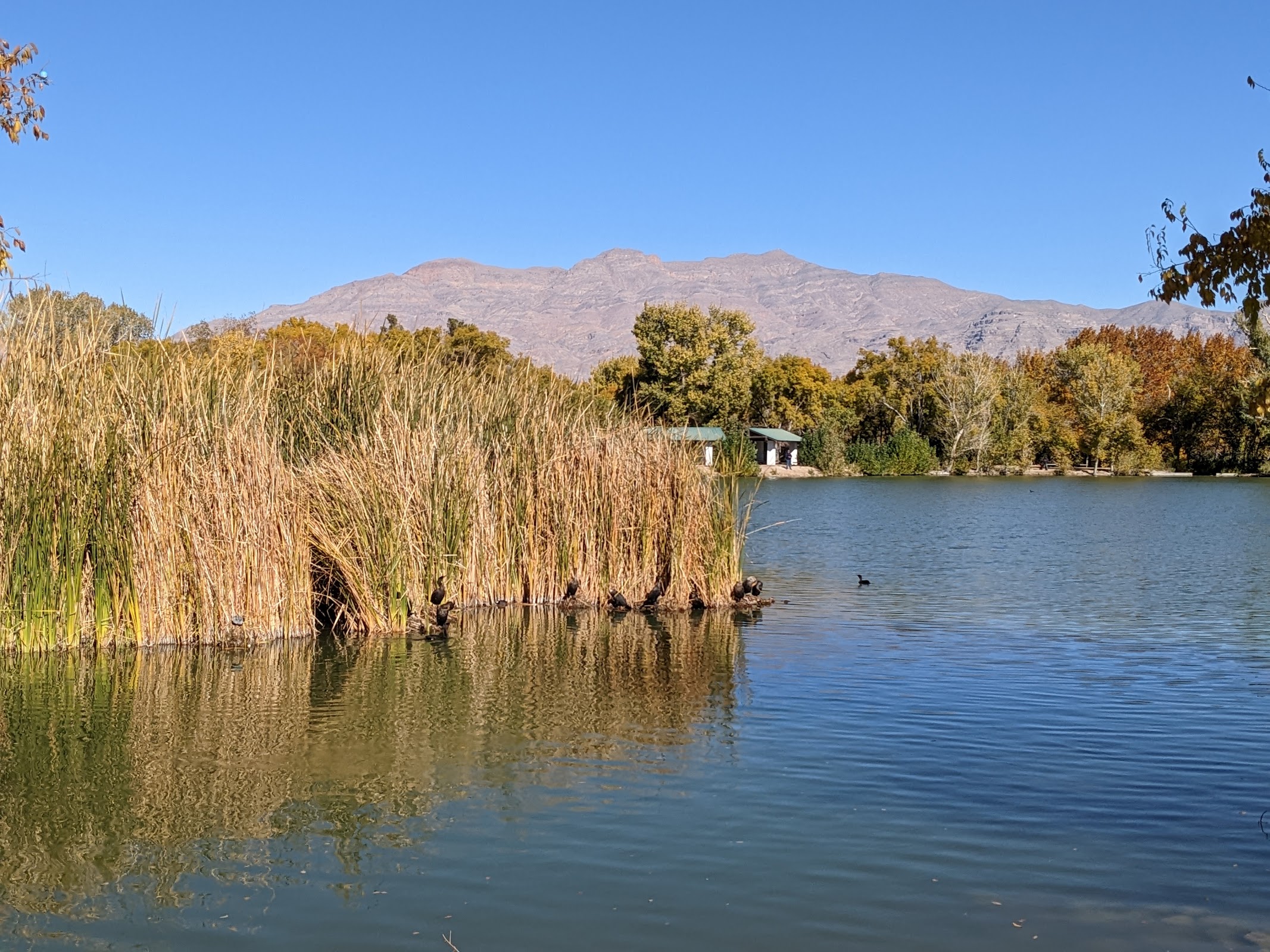 Floyd Lamb Park