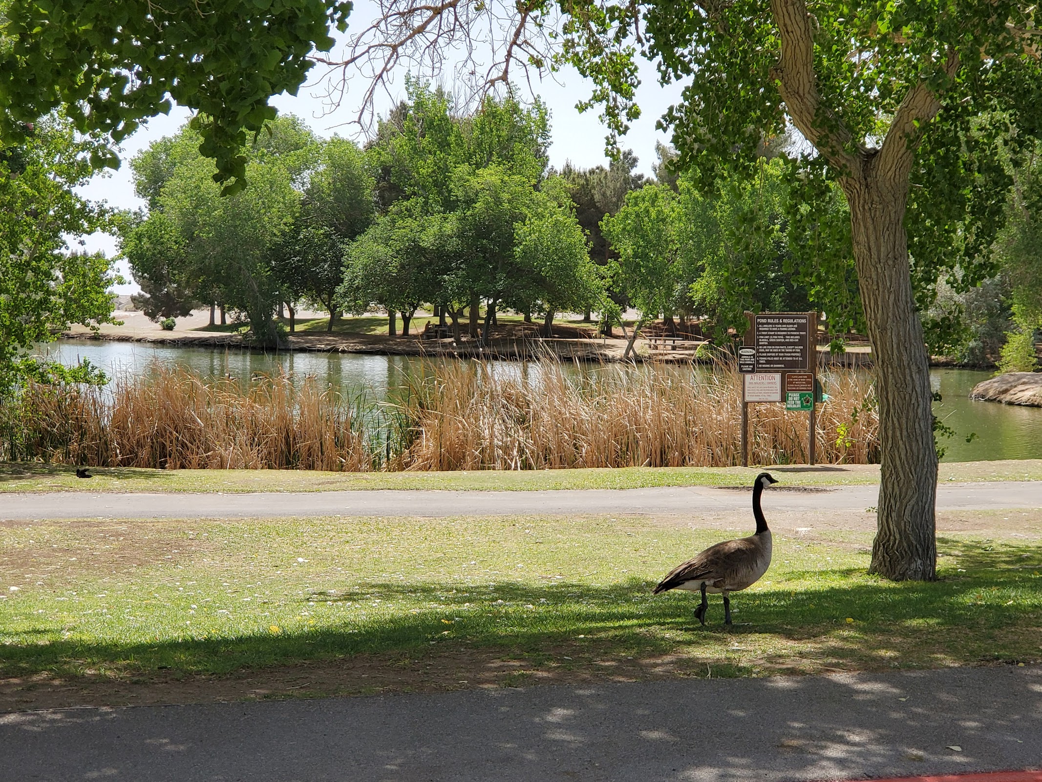 Floyd Lamb Park