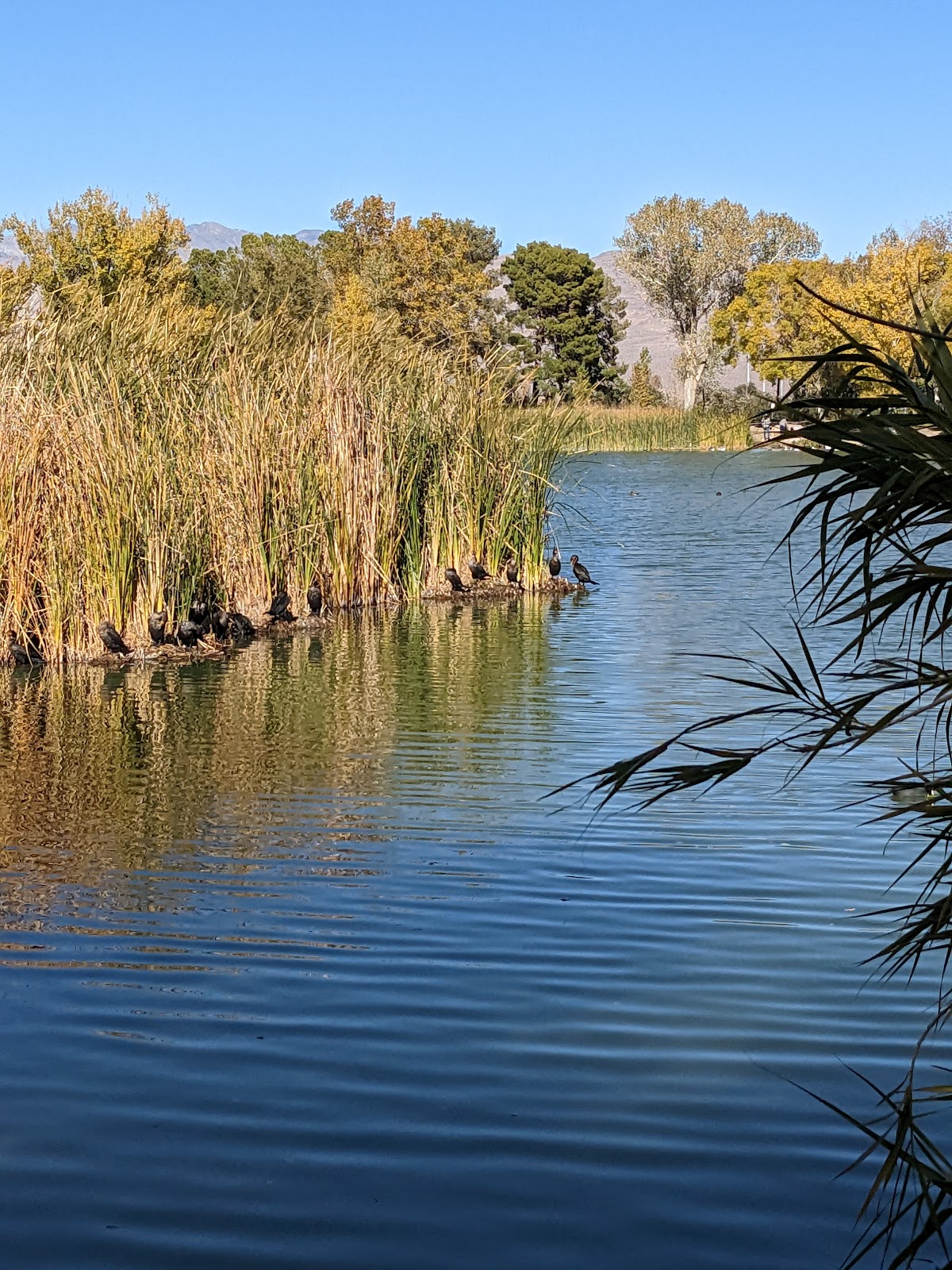 Floyd Lamb Park