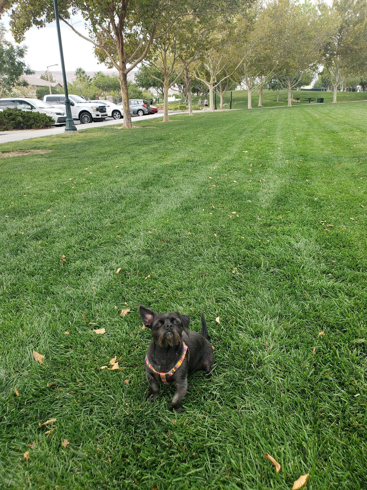 Gardens Park